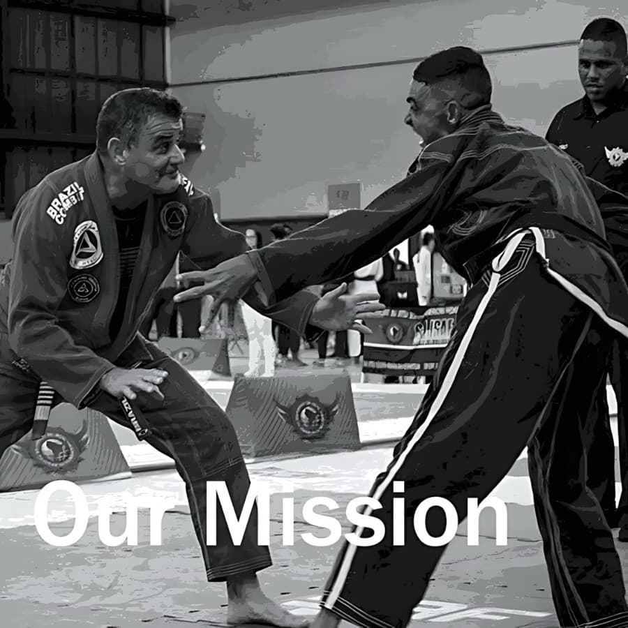 Mission of ICTSG