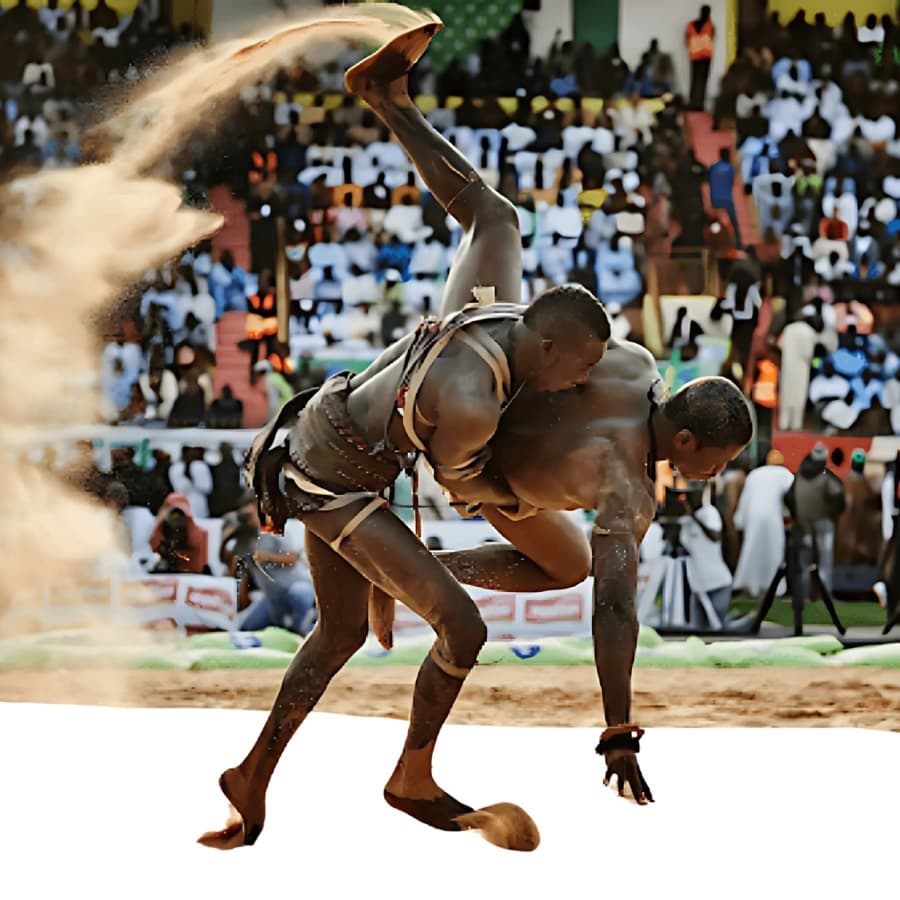 Collaboration Between UNESCO and UATSG for Research on African Traditional