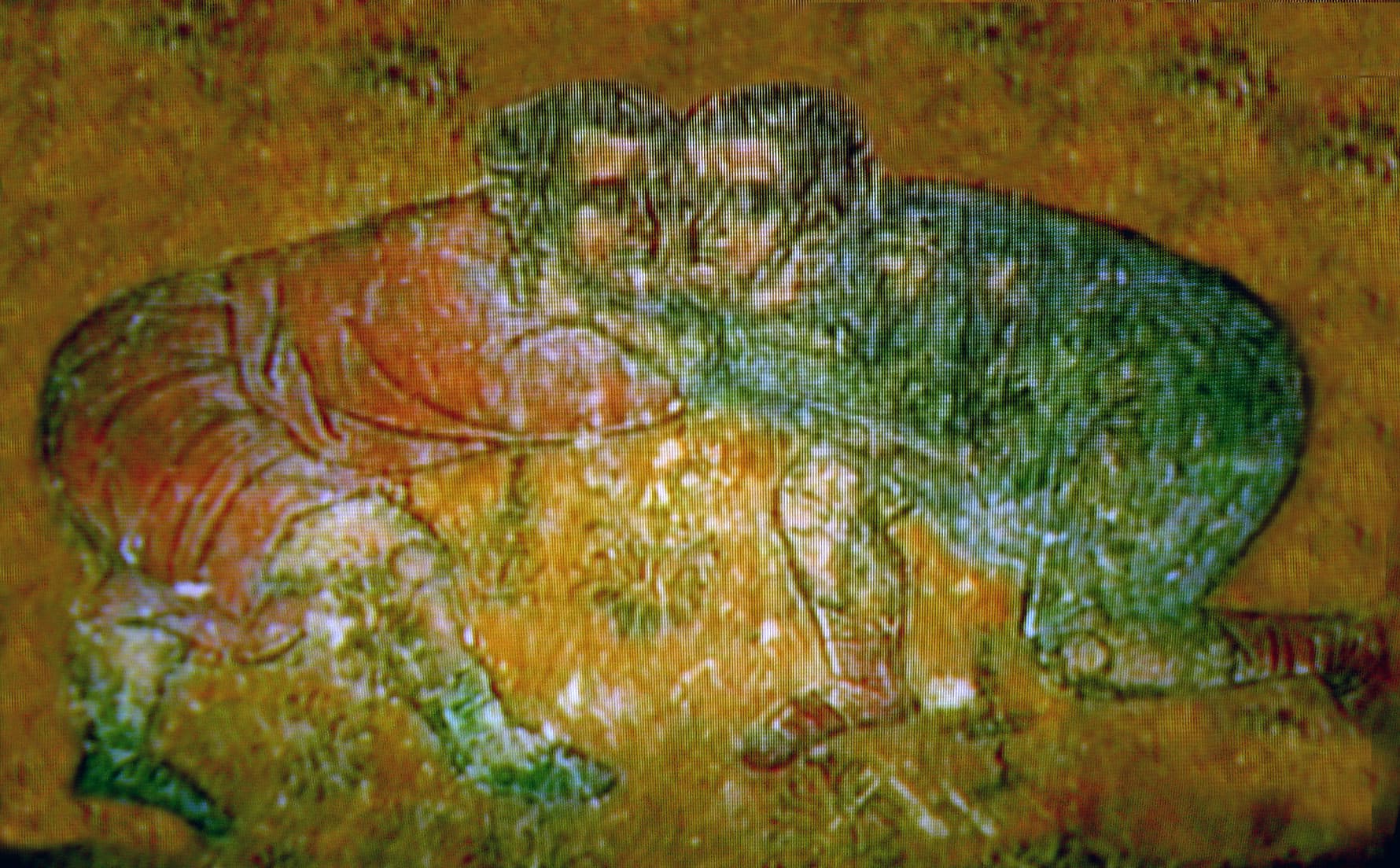 Chidaoba